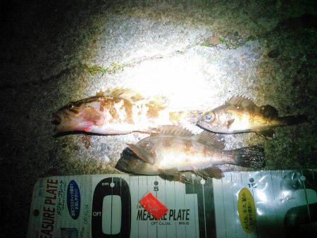 後輩に触発されての巻